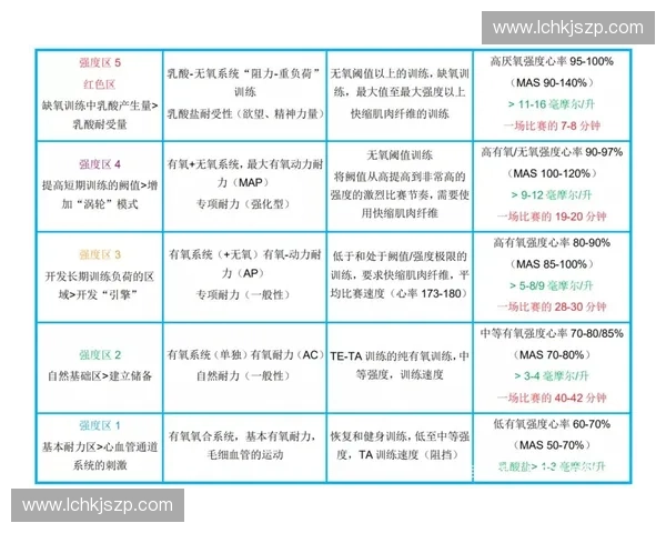 全面提升体能与耐力训练方法打造健康强健体魄的科学指南